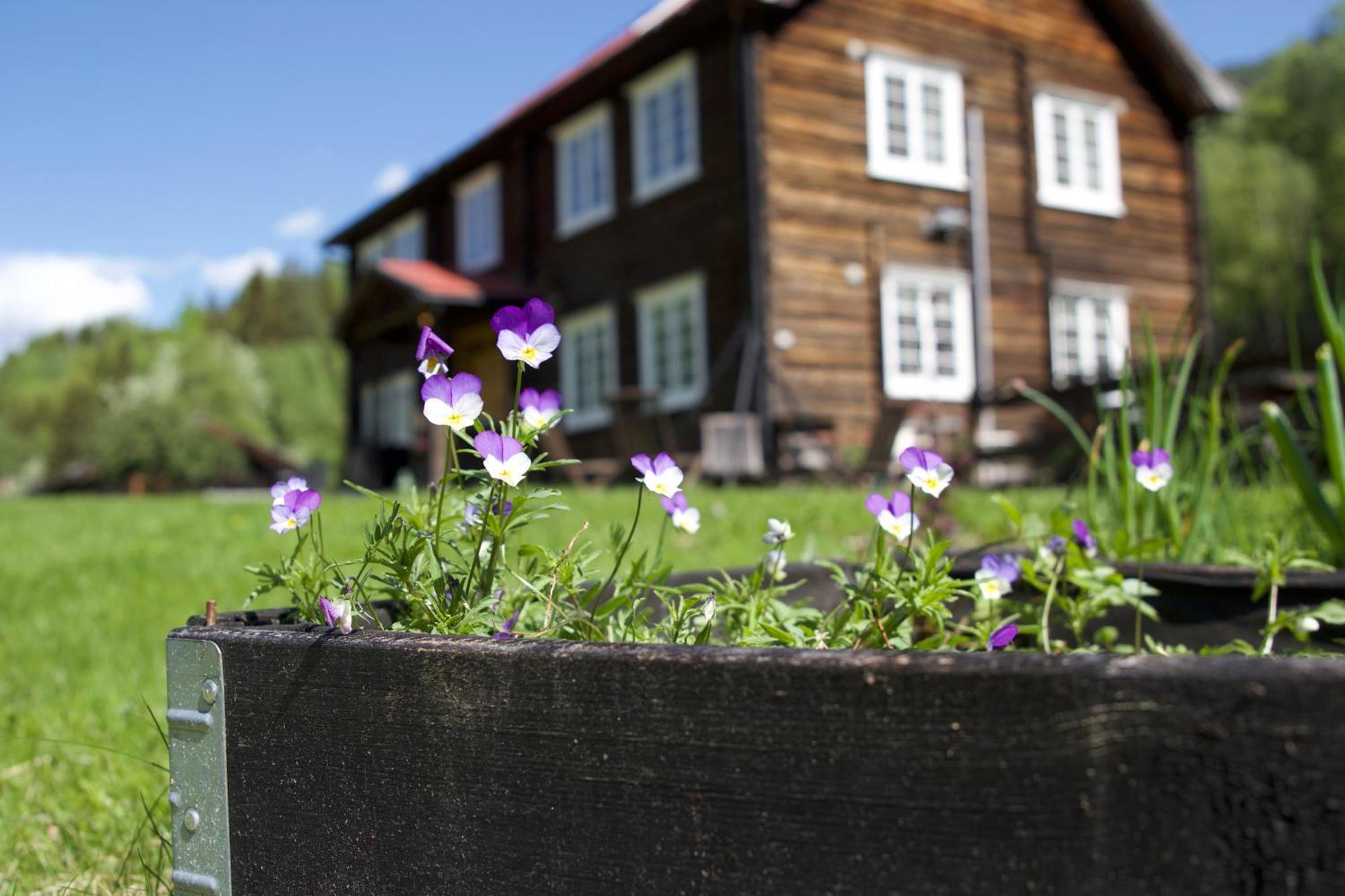 Sevletunet B&B And Cabins Rodberg Экстерьер фото
