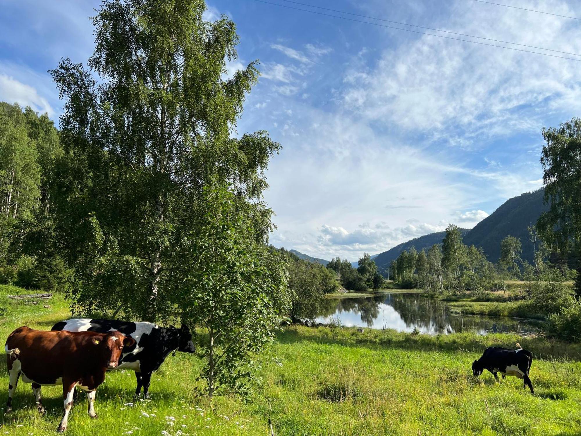 Sevletunet B&B And Cabins Rodberg Экстерьер фото