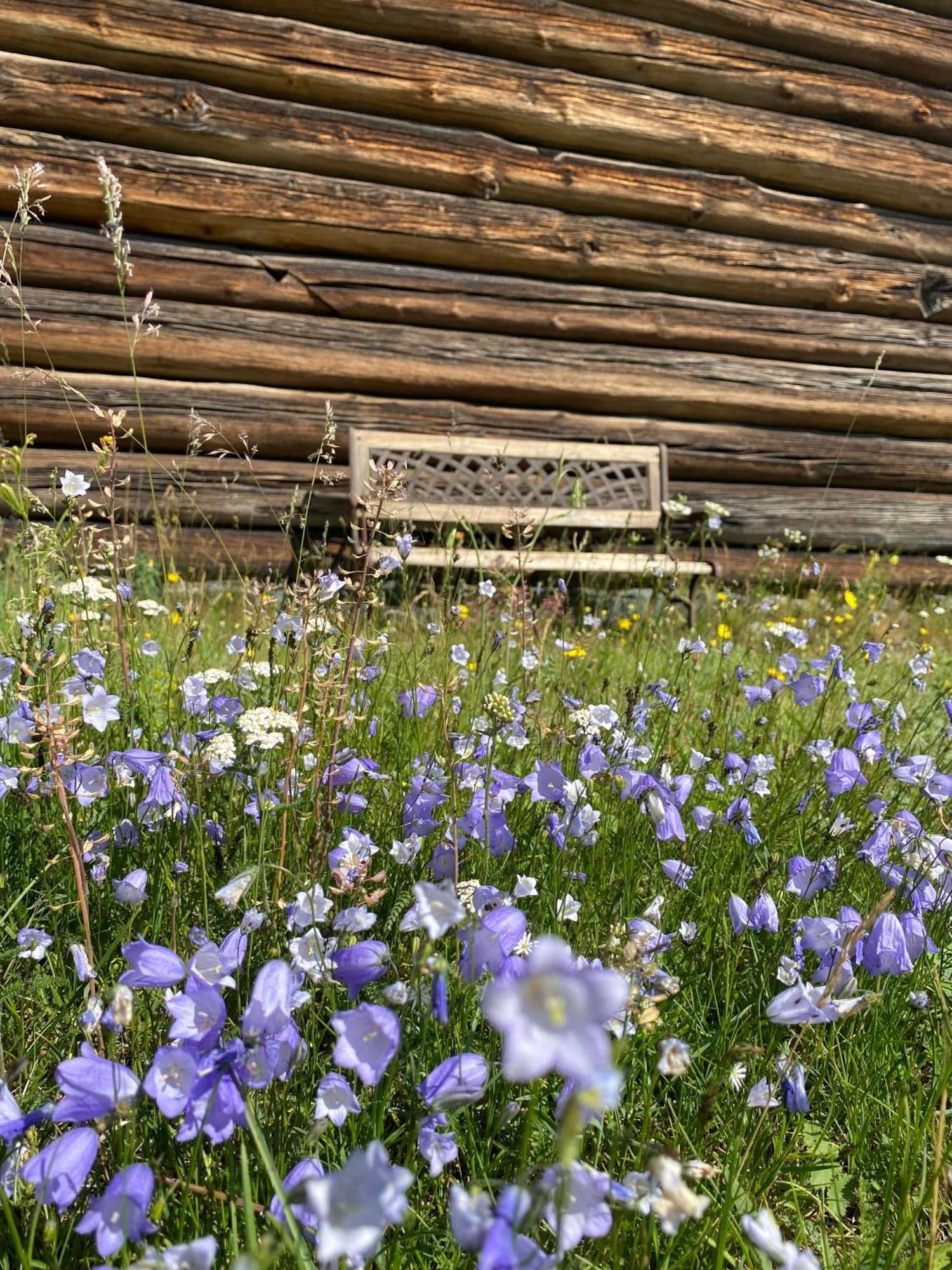 Sevletunet B&B And Cabins Rodberg Экстерьер фото