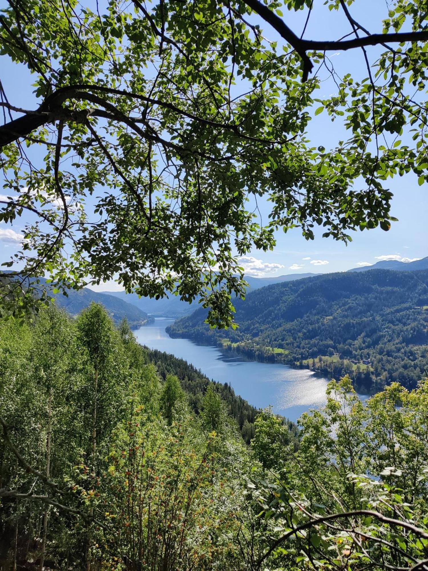 Sevletunet B&B And Cabins Rodberg Экстерьер фото